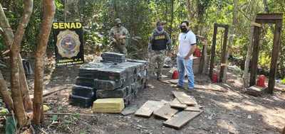 SENAD incauta casi 2 toneladas de marihuana y destruye campamento