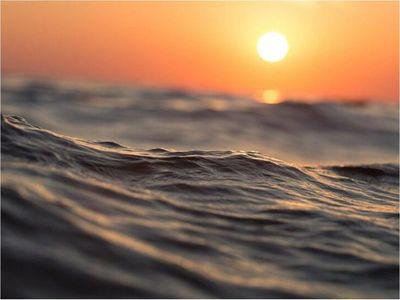 Los secretos del desierto marino del océano Pacífico