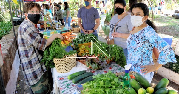 Luego de 4 meses de cuarentena, volvió la feria agroecológica en la Plaza Italia