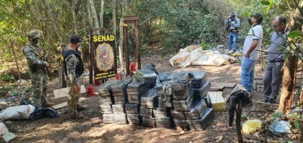 Senad decomisa casi 2 toneladas de marihuana en Canindeyú