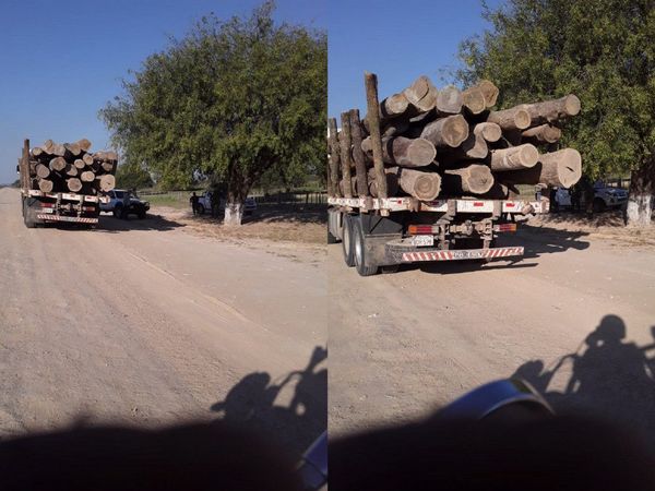 Empresa de Secta Moon en la mira tras incautación de palo santo