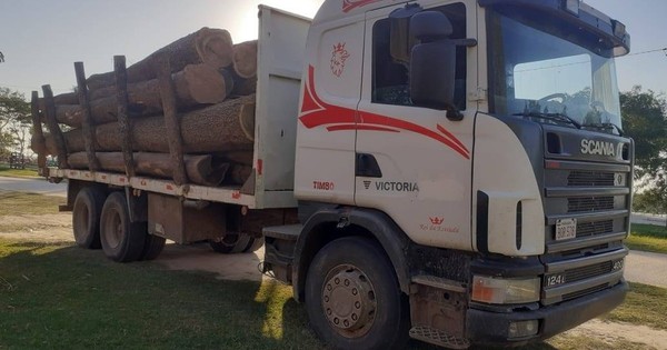 Fiscal incauta camión con 20 rollos de palo santo y ordenó la detención de una persona