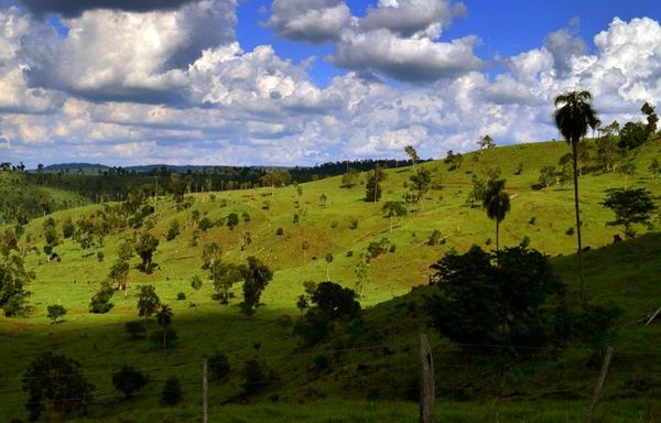 Ambiente cálido a caluroso para este domingo y todo el inicio de semana