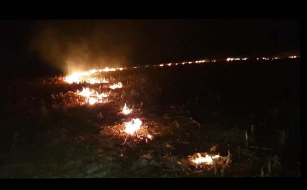 INCENDIO CONSUME UN  MAIZAL EN ITAPÚA POTY