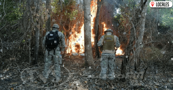 Destruyen 10 toneladas de marihuana en centro de producción, acopio y procesamiento de drogas