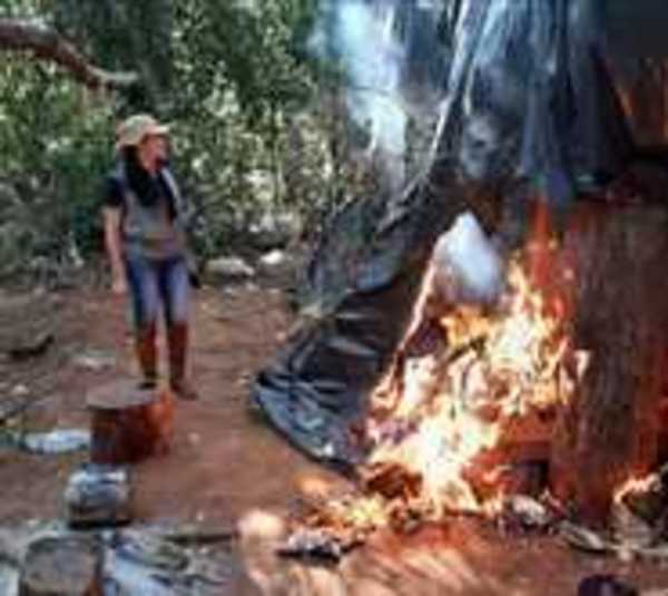 Ekiminan casi 4.000 kilos de drogas en Azotey - Paraguay.com