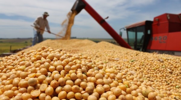 Primer semestre registra mejora en envío de soja procesada - Megacadena — Últimas Noticias de Paraguay