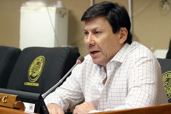Diputado pide destitución de Petta, Friedmann, Bacigalupo “y otros más” - ADN Paraguayo