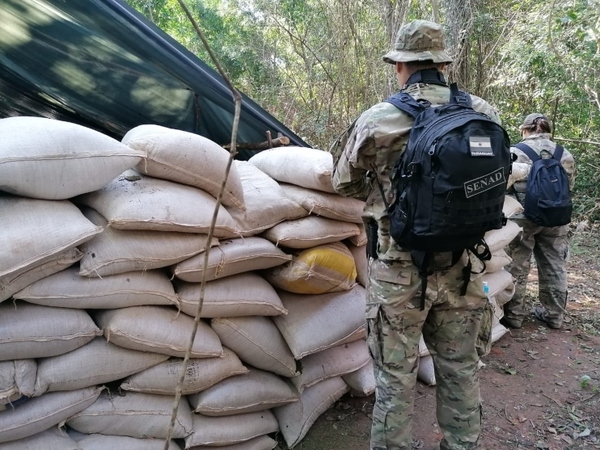 Destruyen 10 toneladas de marihuana en Concepción - Megacadena — Últimas Noticias de Paraguay