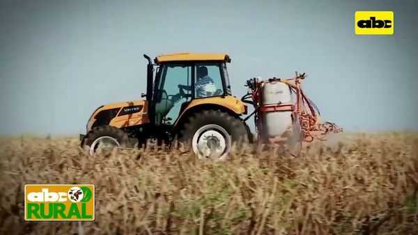 Abc Rural: Qué es la estrobirulina y para qué sirve - ABC Rural - ABC Color