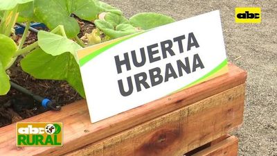Abc Rural: Sistema de riego para diferentes tipos de producción - ABC Rural - ABC Color