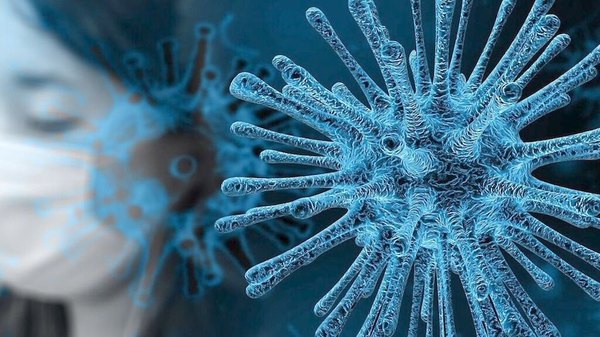 Aihuepétena: identificaron ¡6 tipos covid! | Crónica