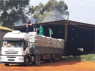 Productores   de Itapúa exportan 100 ton. de yerba canchada a Argentina