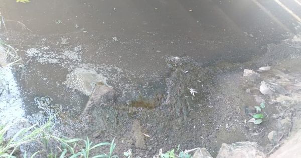Arroyo Cañada del Carmen empeora y los que contaminan se ríen del Mades - Nacionales - ABC Color