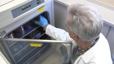 Reino Unido se abastece de 90 millones de vacunas para el coronavirus » Ñanduti