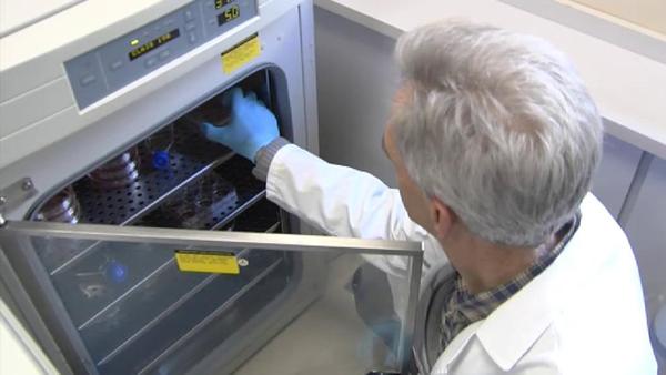 Reino Unido se abastece de 90 millones de vacunas para el coronavirus » Ñanduti