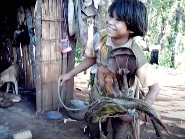 Exhibición online de “Tierra roja” - Espectáculos - ABC Color