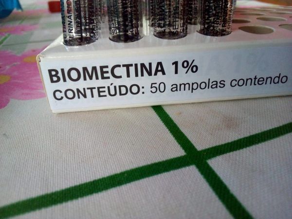 Indígenas vacunados con biomectina ya presentan dolor de cabeza y malestar