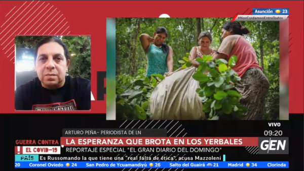HOY / Arturo Peña, periodista del diario La Nación, sobre su artículo "La esperanza que brota en los yerbales"