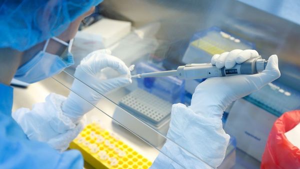 La fase uno de los ensayos de la vacuna contra covid-19 de la Universidad de Oxford muestra que es segura e induce una reacción inmune - Digital Misiones