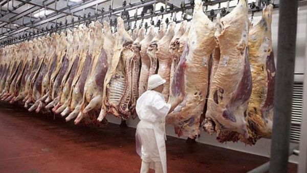 Exportación de carne, alimentos y fármacos aumentaron en primera quincena de julio