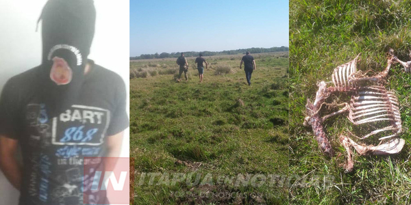 UN APREHENDIDO TRAS ABIGEATO DE OVEJAS EN GENERAL DELGADO. 