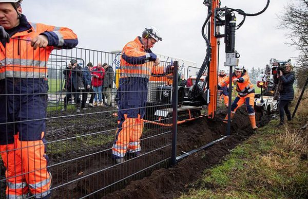 Alemania construirá 62 km de vallas en la frontera con Polonia por fiebre porcina
