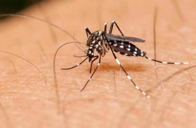 Dengue: Una lucha que no debemos descuidar - C9N