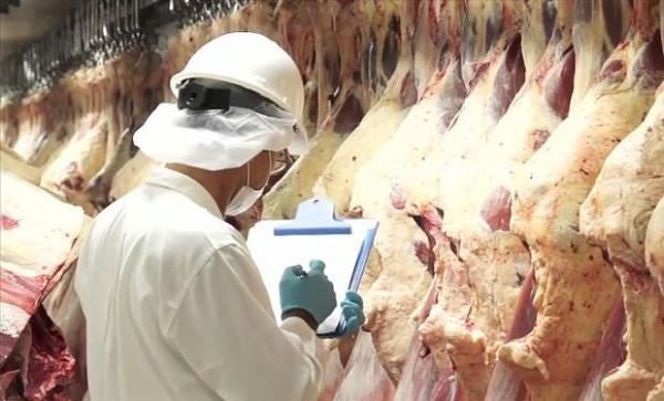 EXPORTACIÓN DE CARNE, ALIMENTOS Y FÁRMACOS AUMENTARON EN PRIMERA QUINCENA DE JULIO