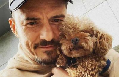 Orlando Bloom está devastado por la desaparición de su perro y ofrece una recompensa - C9N
