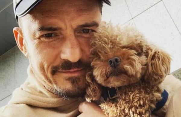Orlando Bloom está devastado por la desaparición de su perro y ofrece una recompensa - C9N