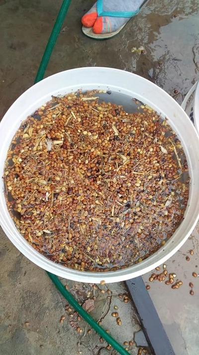 Bañado Sur: Denuncian que la SEN entrega alimentos de “pésima” calidad para ollas populares » Ñanduti