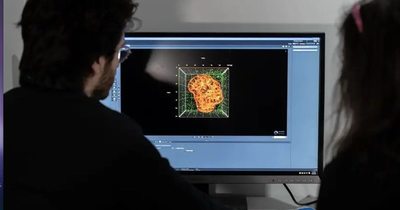 Israel prueba droga que reducirá covid a gripe leve