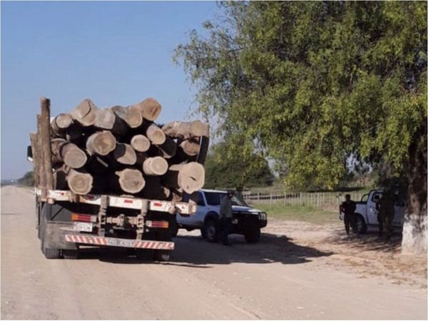 Sexta Moon, en mira de  Fiscalía  tras  tráfico de palo santo