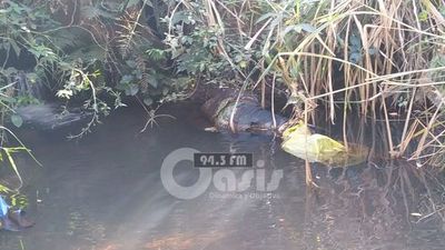 Cadáver encontrado en un arroyo en zona de  Zanja Pytã aún no fue identificado