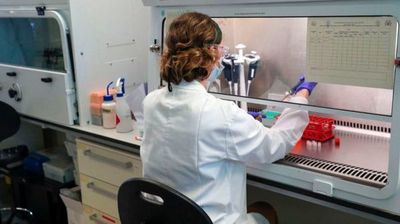 Vacunas elaboradas en Oxford inducen a respuestas de inmunidad rápidas