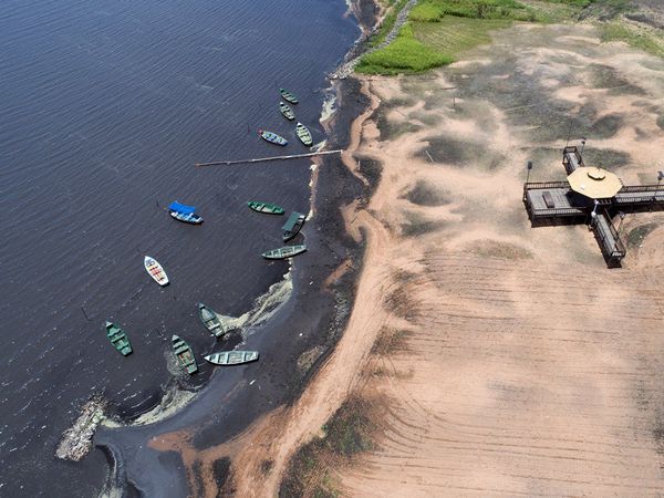 Piden más acciones para recuperar el icónico lago Ypacaraí