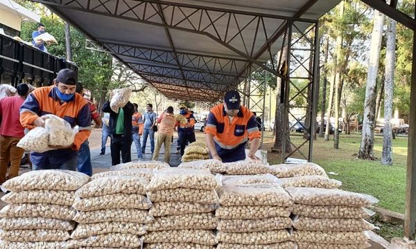 SEN distribuyó más de 46.600 kilos de alimentos a trabajadores de C. del Este – Diario TNPRESS