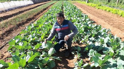 Don Juan Bogarín asimila la orientación de los técnicos y multiplica los rindes de su finca - La Mira Digital