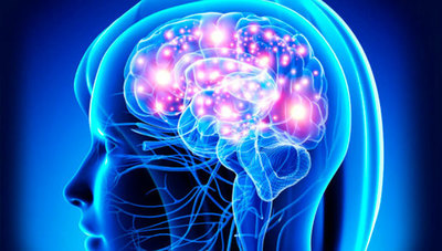 Las hormonas sexuales podrían estimular el crecimiento de tumores cerebrales » Ñanduti