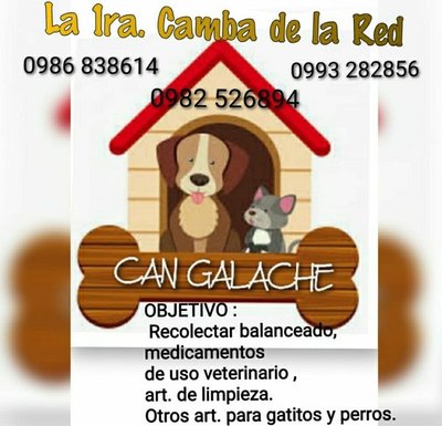 ¡Los peluditos avei hacen su camba! | Crónica