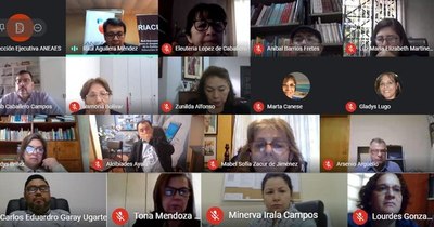 Educación Superior: Aneaes prepara mecanismos de evaluación y acreditación de carreras a distancia