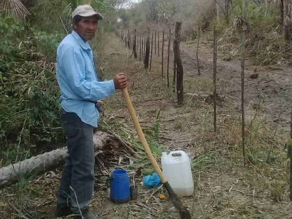 Indígenas beben agua de tajamar y claman por alimentos en el Chaco