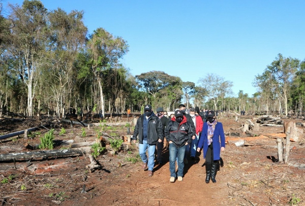 Imputan a supuestos autores de depredación de bosques en la zona de Puerto Indio » Ñanduti