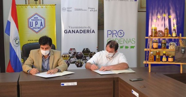 Promueven crecimiento del sector apícola vía Alianza Público-Privada