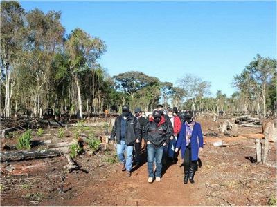 Suman 8 imputados por depredación de bosques en franja de Itaipú