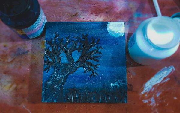 Cuadros de talentosa artista paraguaya arrasan en redes - Nacionales - ABC Color