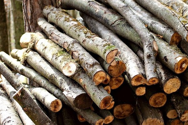 Lo mataron de un “maderazo” entre petacas | Crónica