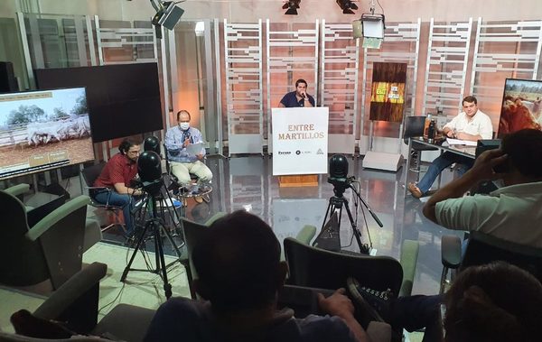 Remate Entre Martillos: precios demostraron que “se apuesta otra vez a la invernada”