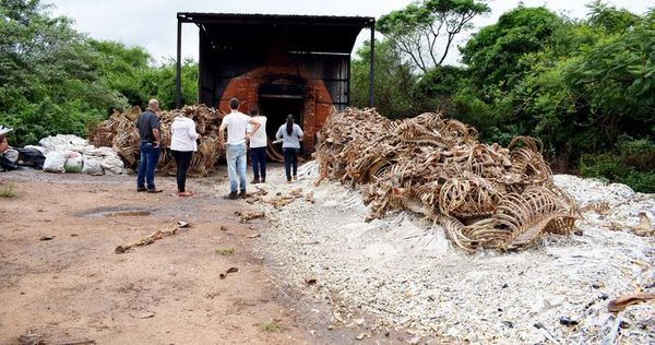 Mades otorgó permiso a matadero de Luque, dicen - Nacionales - ABC Color